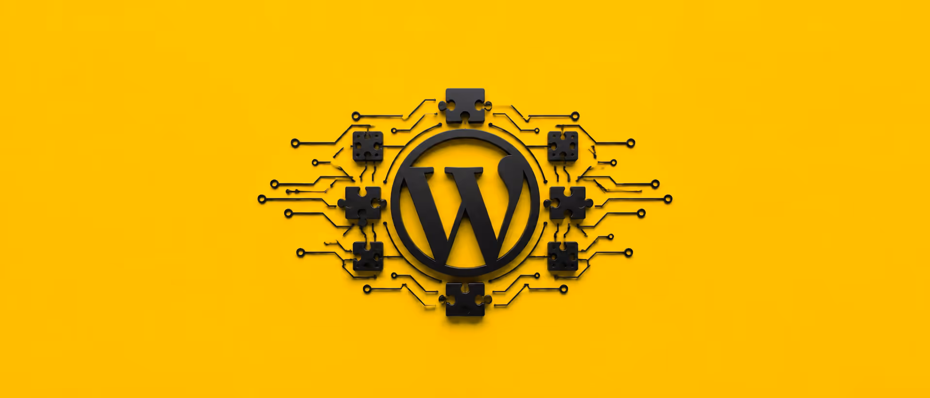 Why Your WordPress Plugins Are a Security Risk